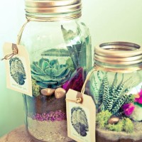 20 Ideas to Decorate Desks with Succulent