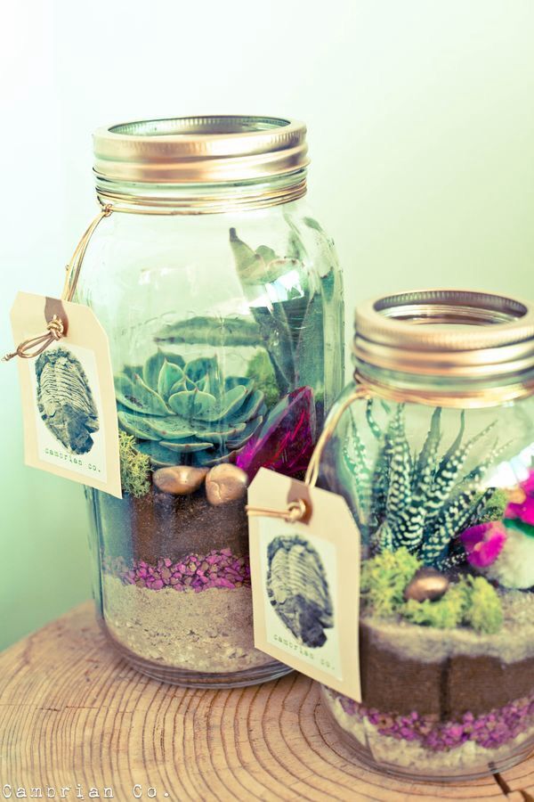 20 Ideas To Decorate Desks With Succulent Pretty Designs