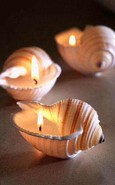 Sea Shell Candles