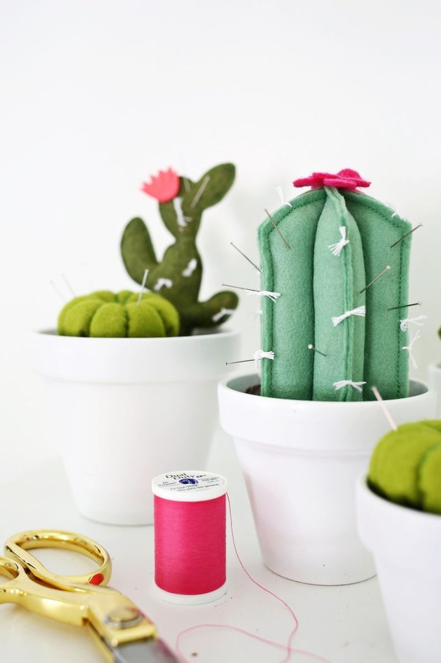 Pin-storing Cacti