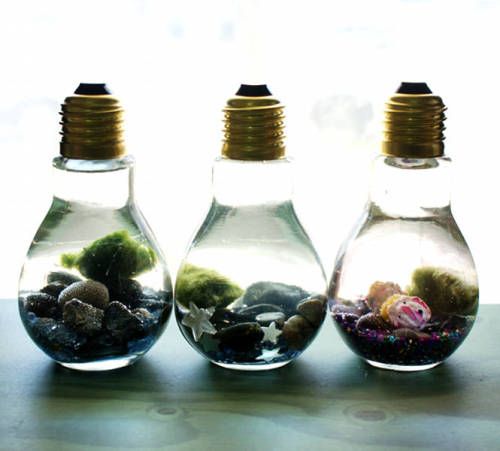 DIY Light Bulb Aquarium
