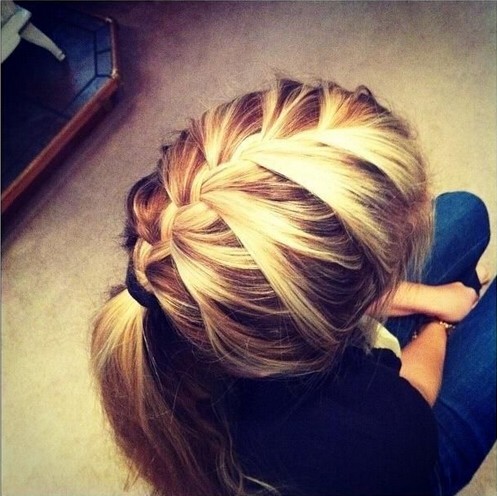 French Braid Ponytail