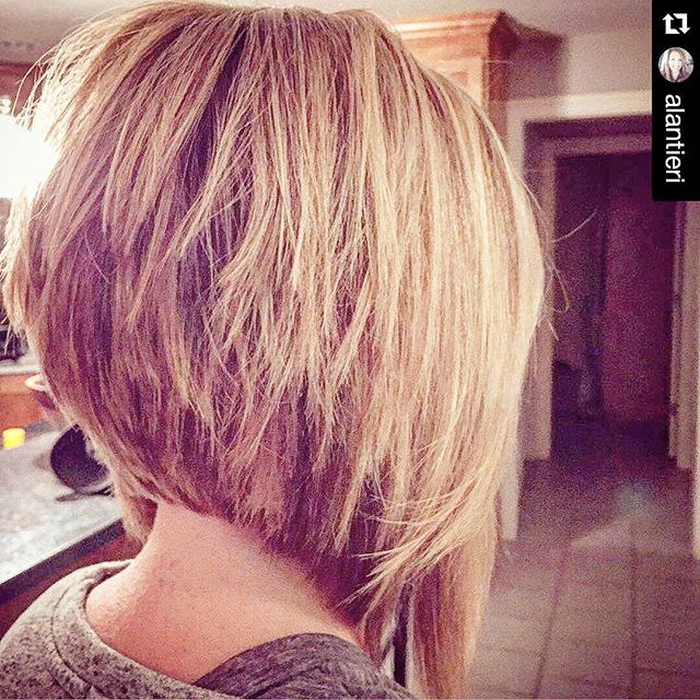 Inverted bob cut with layers