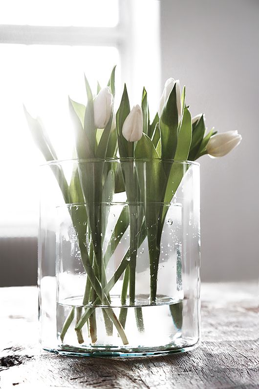 Simple Vases