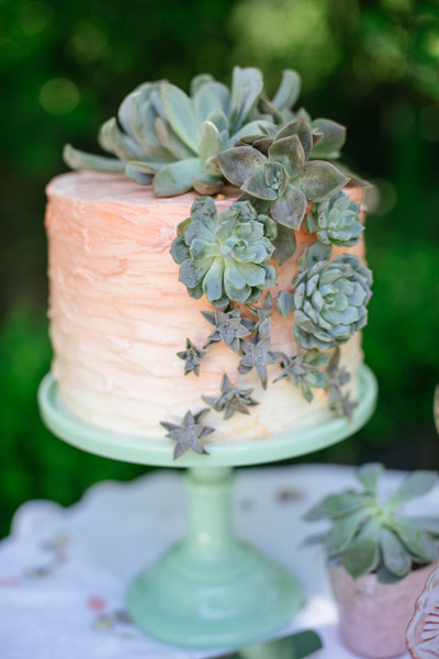 Succulent-covered Cake