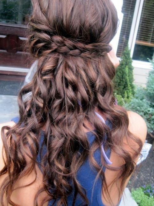 Half Up Braid Hairstyle for Brown Hair