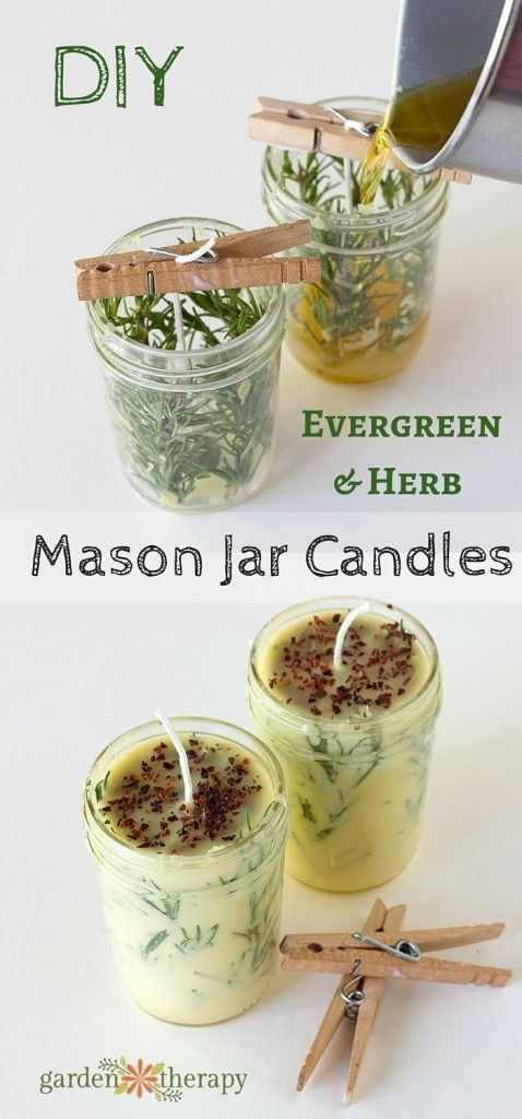 mason-jar-evergreen-herb-candles via