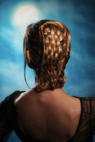 Check Braid Hairstyle