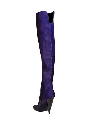 Back View of the Tom Ford Ombre Calf Hair Over-the-Knee Boot