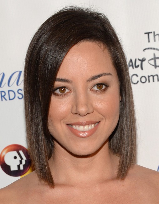 2014 Aubrey Plaza Medium Hairstyles: Blunt Long Bob