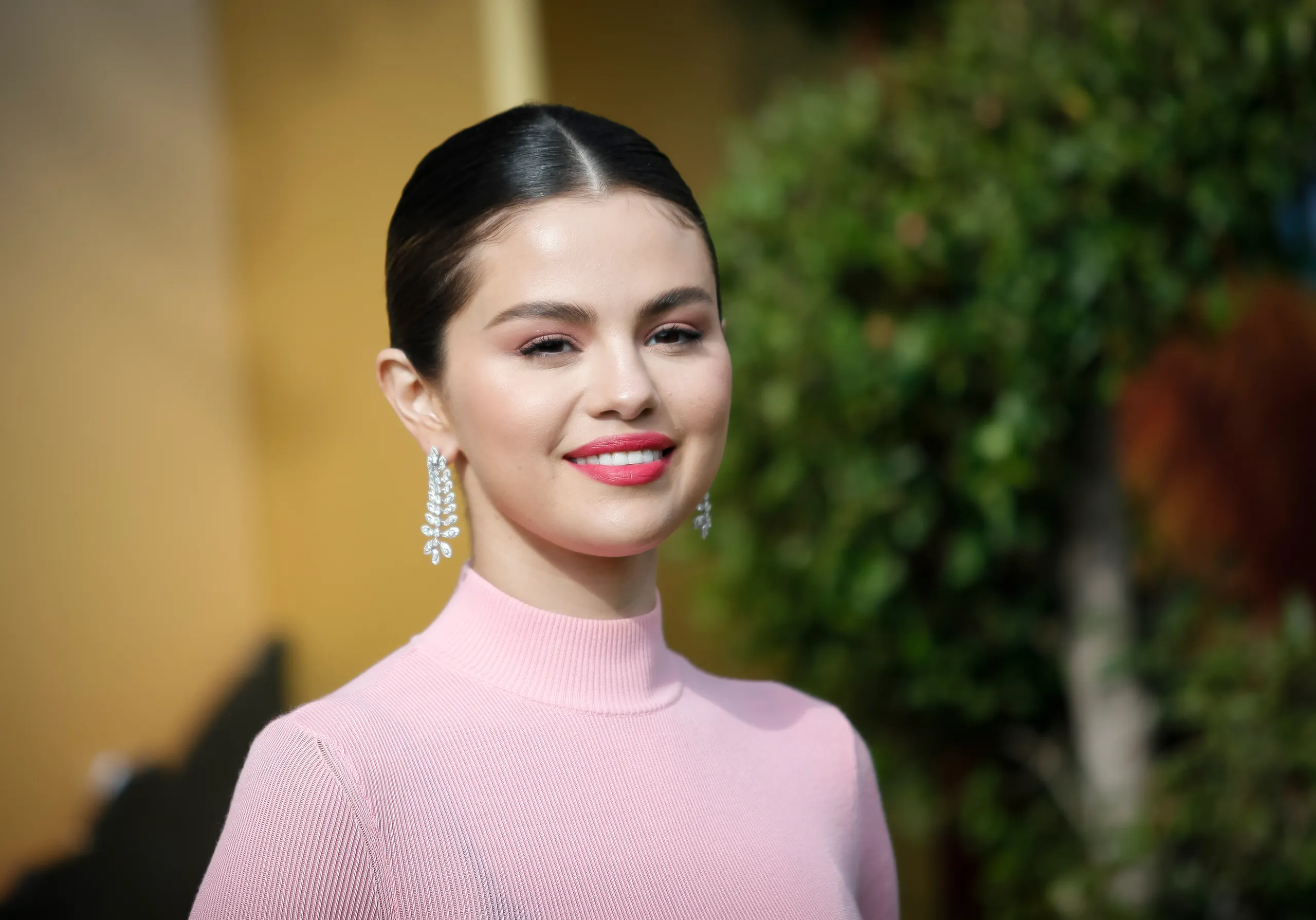 Selena Gome updo