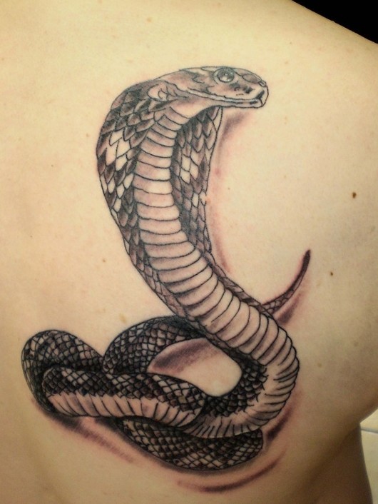 Snake Tattoo Meaning & Snake Tattoo Ideas - Pretty Designs