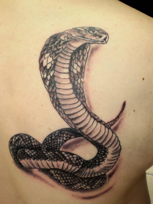 Snake Tattoo Designs