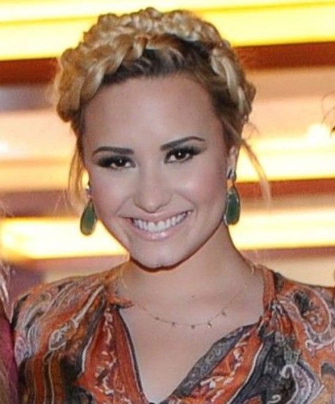 Demi Lovato Hairstyles: Braided Updo