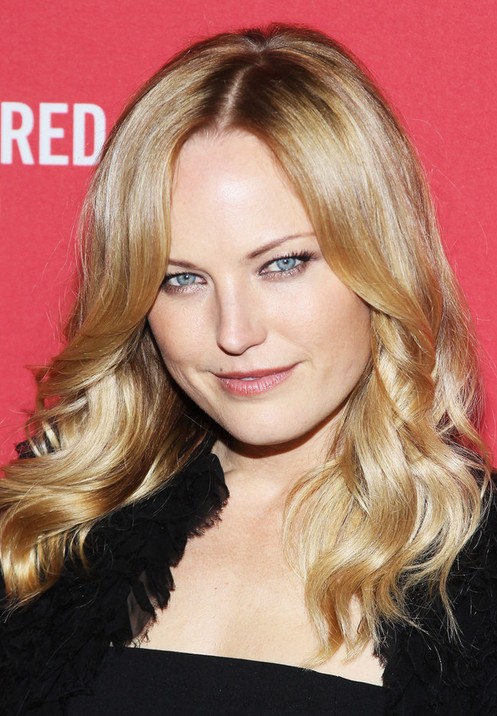 Malin Akerman Long Hairstyle: Glossy Hair