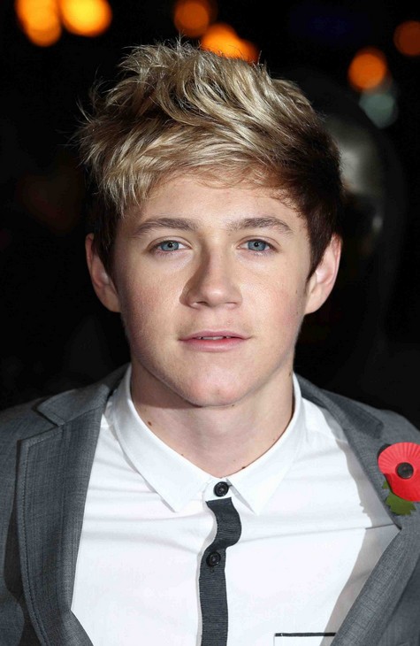 Niall Horan Hairstyles