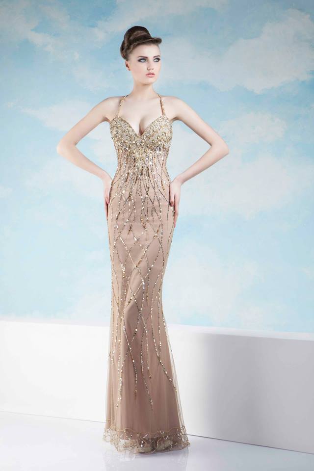 Gorgeous Evening Dresses for Spring/Summer 2014 by Tony Chaaya