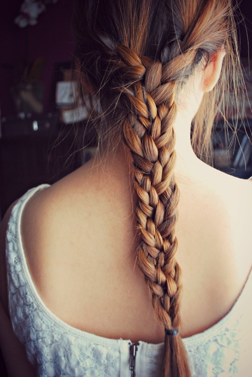 Pretty Braid