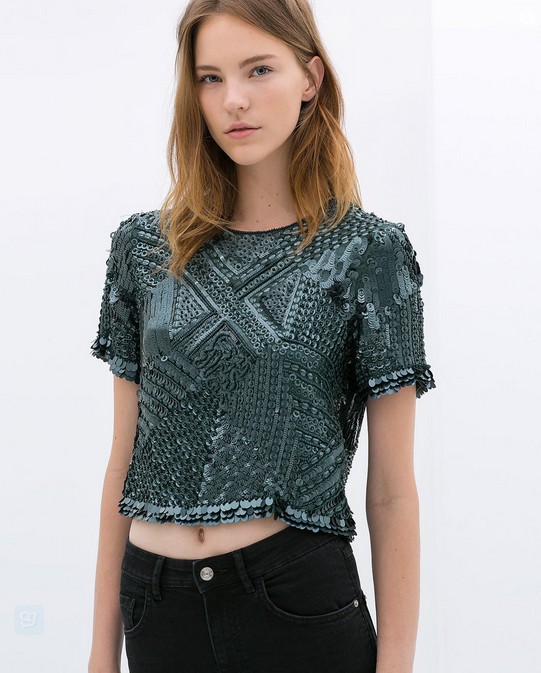 Zara Embroidered Top ($119)