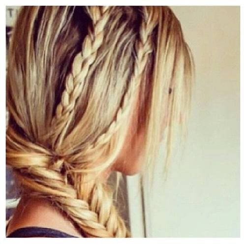 Gorgeous Braided Hairstyle