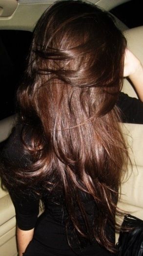 Luscious Brunette Hair