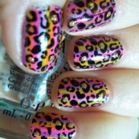 Amazing Animal Print