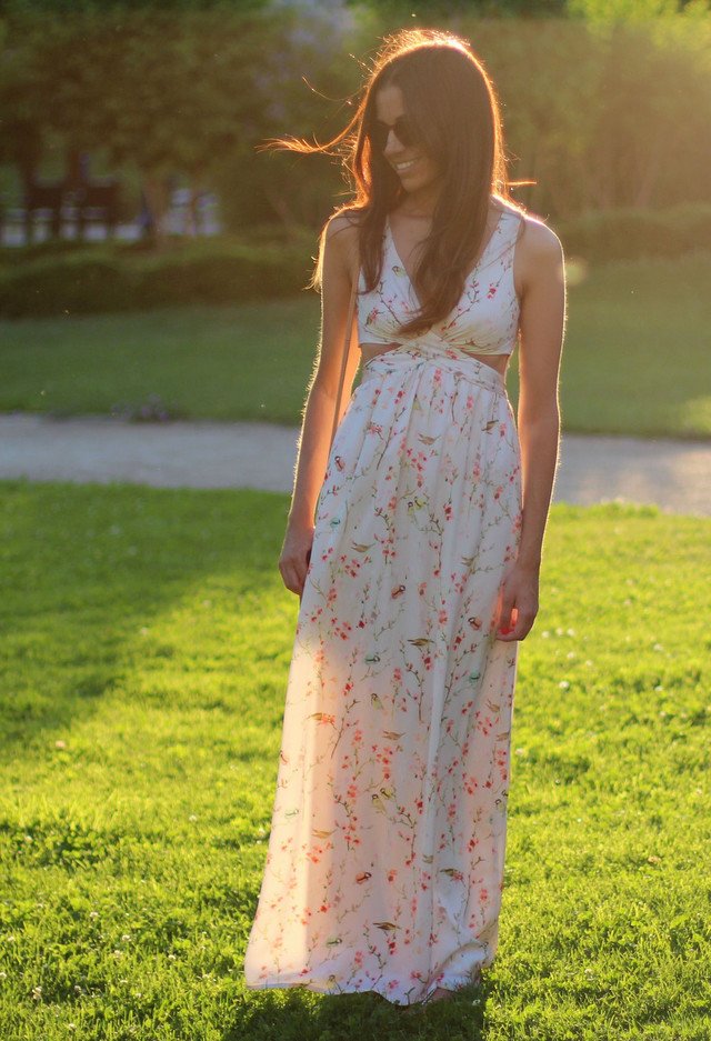 Printed Maxi Dress