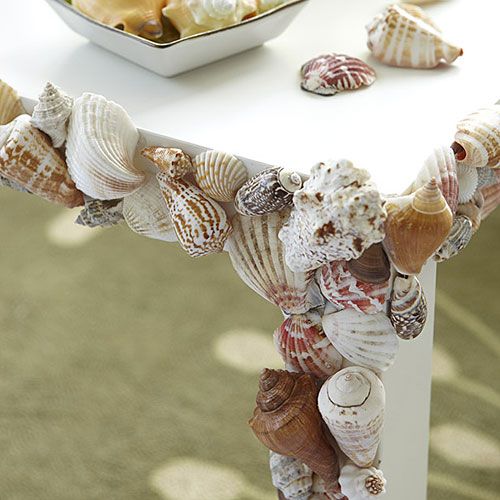 Seashell Decoration for Table
