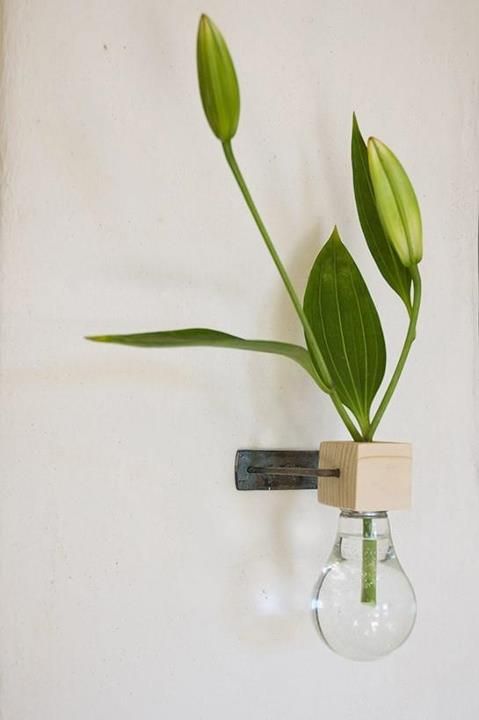 Bulb Vase