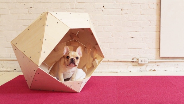 DIY Dog House