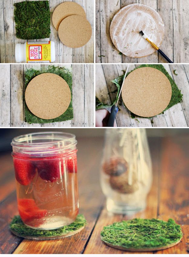 Moss Coasters