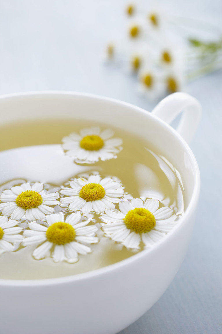 Chamomile