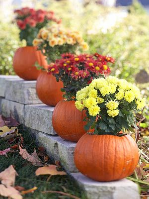 Pumpkin Planters