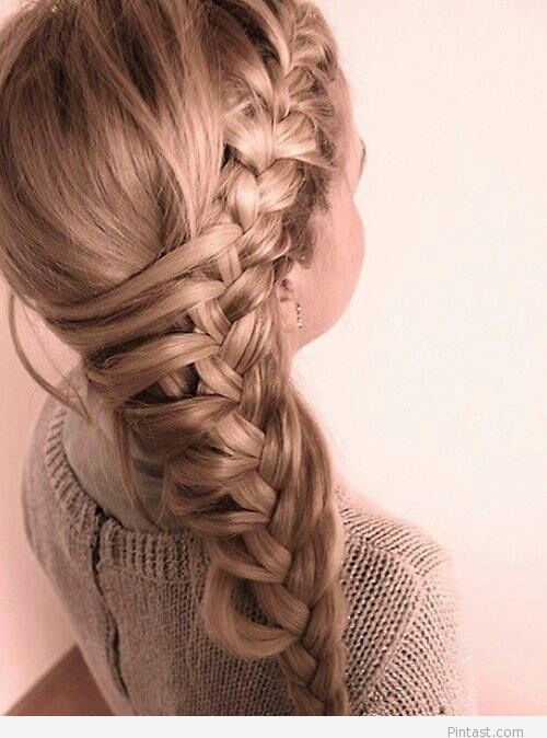 Amazing Braided Hairstyle for Little Girls
