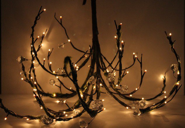 Branch Lights