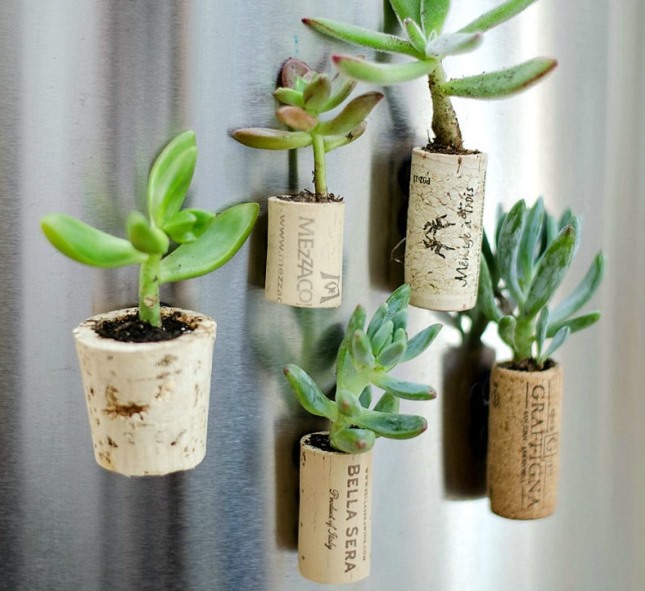 Cork Planters