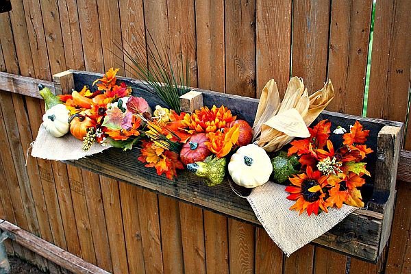 Fruit Organizer