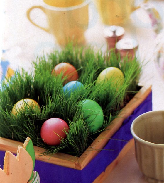 Green Grass for Table Decoration