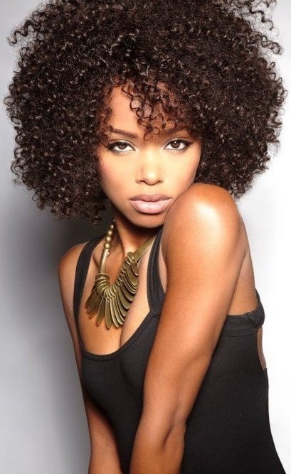 Natural Black Curly Hairstyle