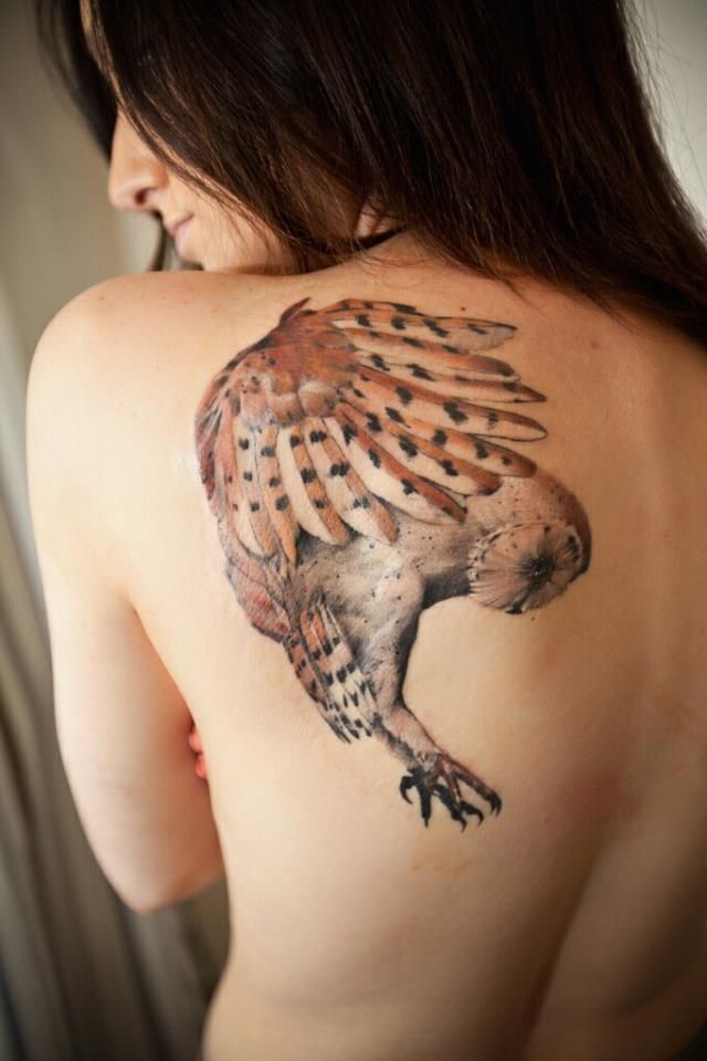 Owl Tattoo