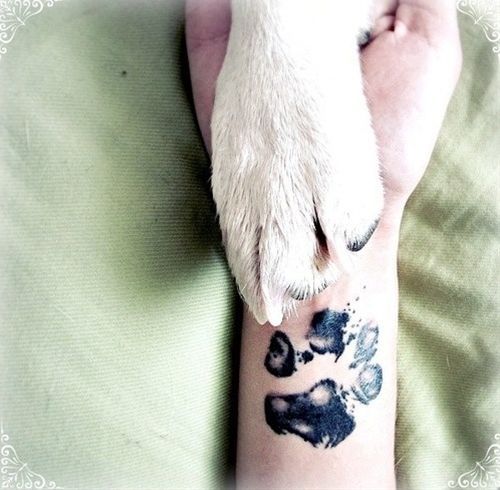 Paw Tattoo