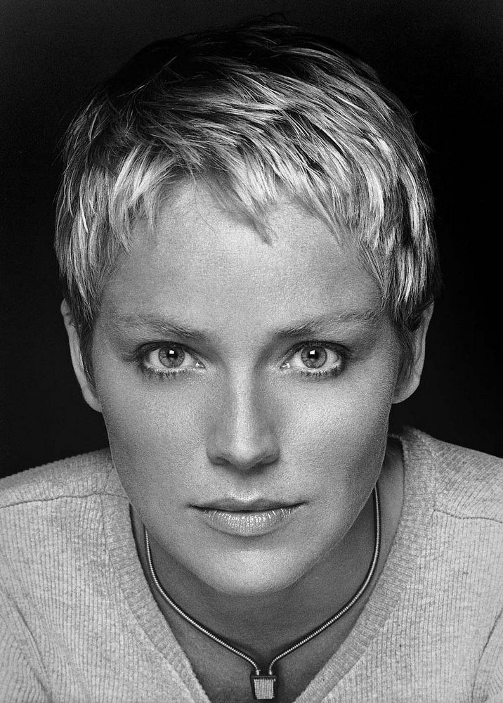 Sharon Stone Very Short Hairstyle