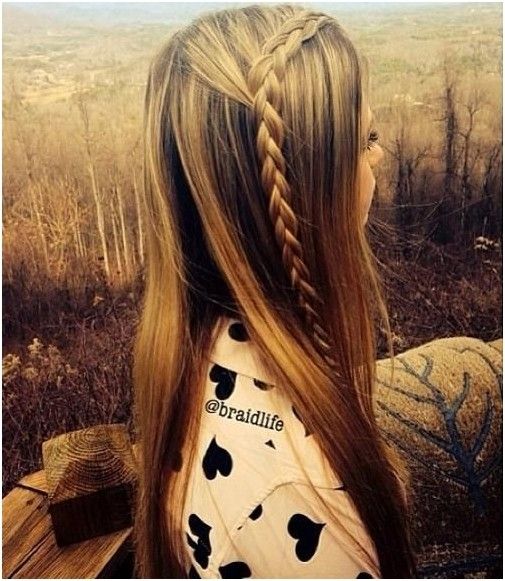 Sleek Long Straight Hairstyle With Braid