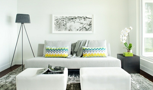 Chevron Pillows