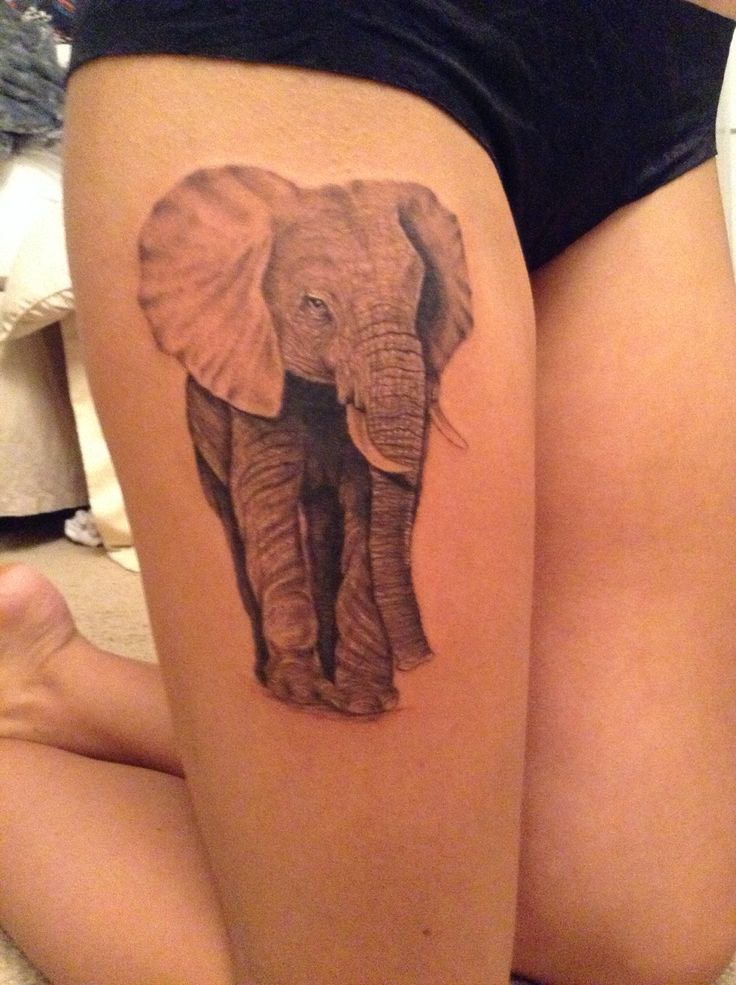 Elephant on Thigh