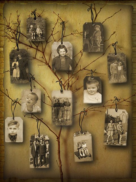 Family Tree