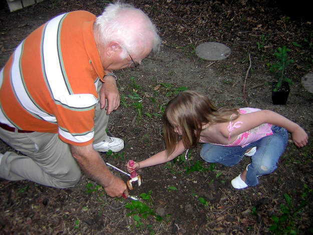 Planting A Tree Together