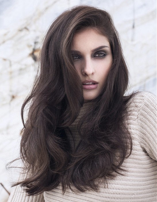 Stylish Long Wavy Hairstyle