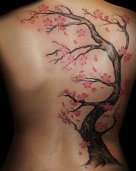 Cherry Blossom Tattoo on Back