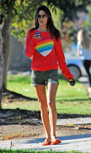 Alessandra Ambrosio Rainbow Top